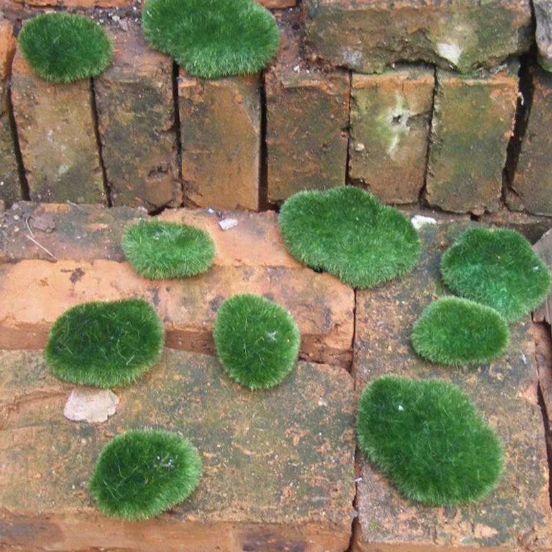 OOTDTY New 10Pcs Moss Balls Decorative Stone Artificial Simulation