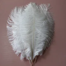 50 шт. 6-8 ''(15-20 см) Высокое качество стиль натуральным белый страусиные перья Свадебные украшения