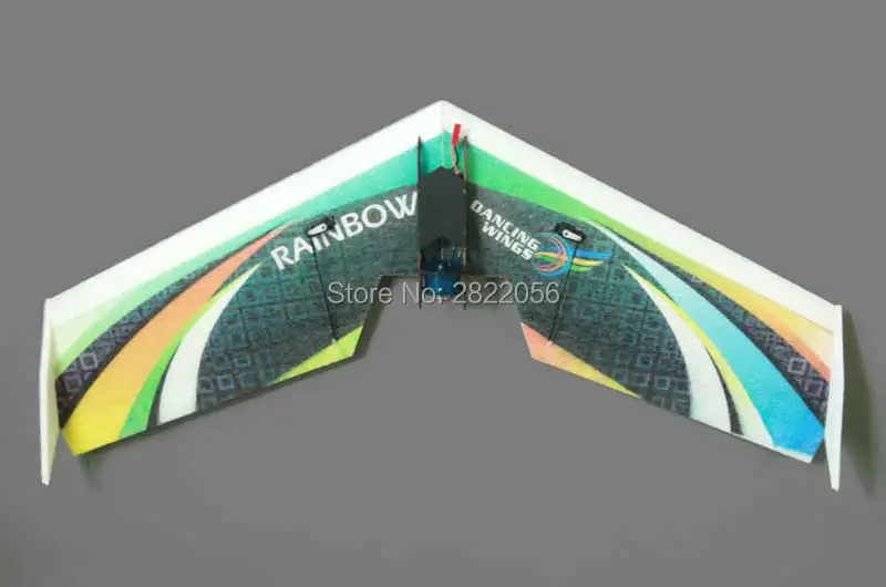 Rainbow Fly wing-1