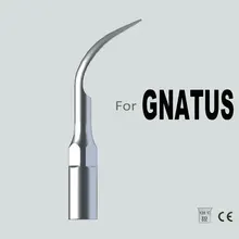 Venta directa de fábrica GG1 GNATUS punta para supragingival oral higiene dental equipo dental