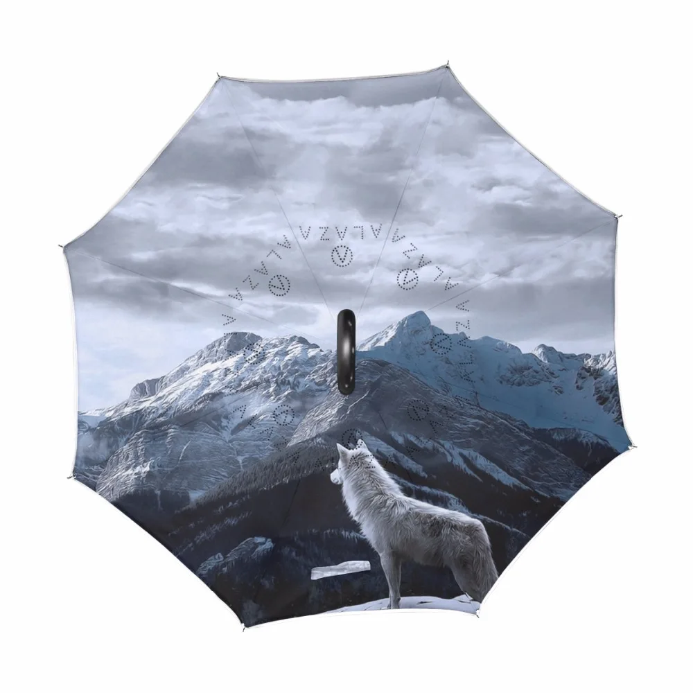 g1286781p183c217s313_1