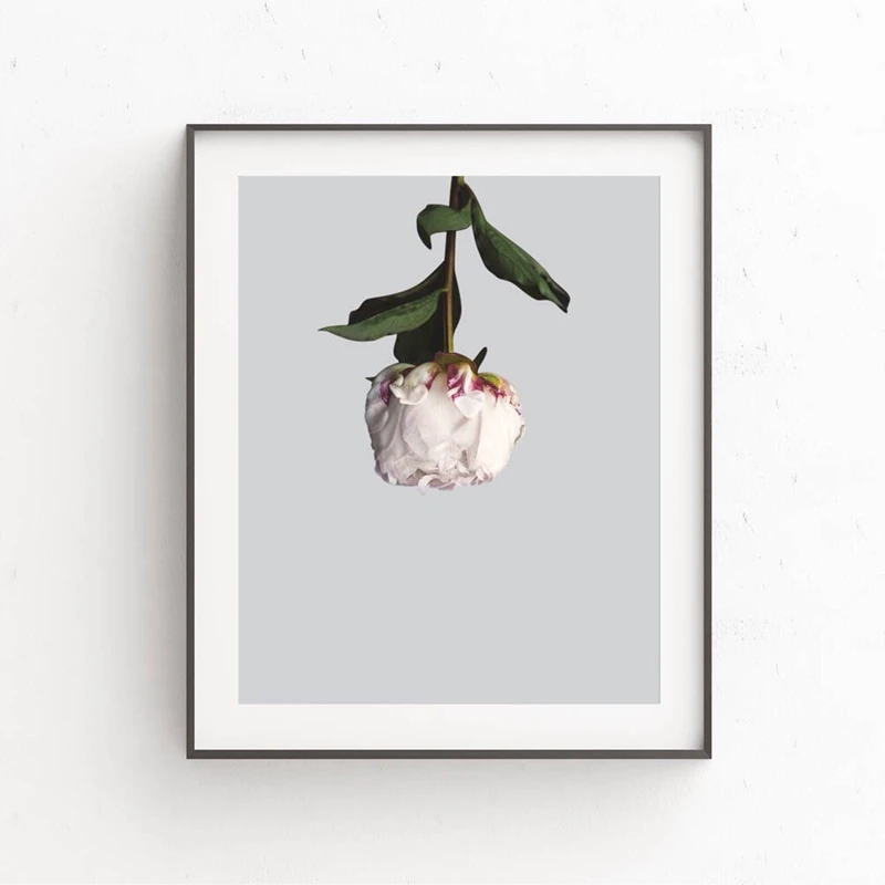 

Flower Picture Canvas Print Wall Art Home Decor , Floral Peony Canvas Painting Living Room Bedroom Wall Art Elegant Decor
