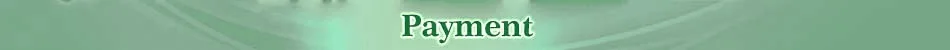 payment01