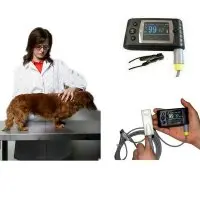 Veterinary Pulse Oximeter, VET Pulse Oxygen SPO2 Monitor CMS60C With USB S/W CE & FDA