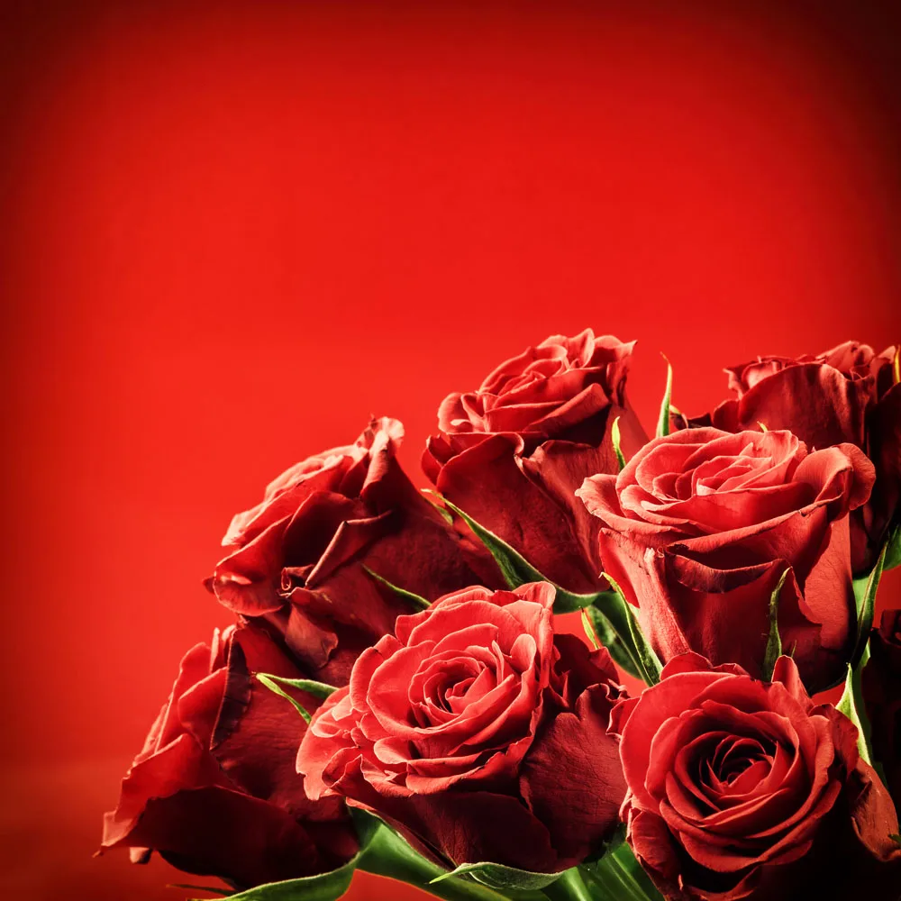 

10x10ft Vinyl Custom Photography Backdrops Props Valentine day Studio Backgrounds TVA-1731