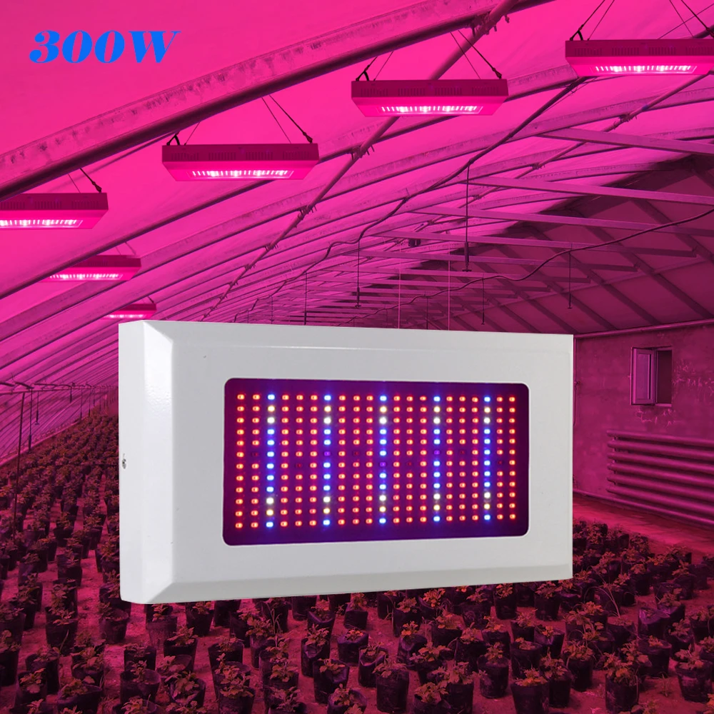 Guaranteed 100% 300W Full Spectrum Led Grow light For Plant 380nm-780nm LED Hydroponic Greenhouse Grow Tent 300W Plant Lamp