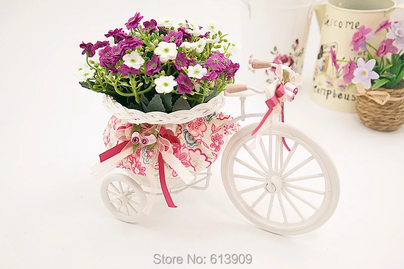 SAM_5917