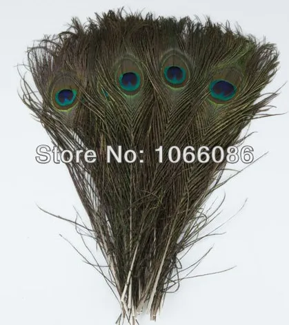 

Free Shipping! 200pcs/lot 25-30cm Big peacock Eye Top quality peacock feather natural peacock feathers plumes