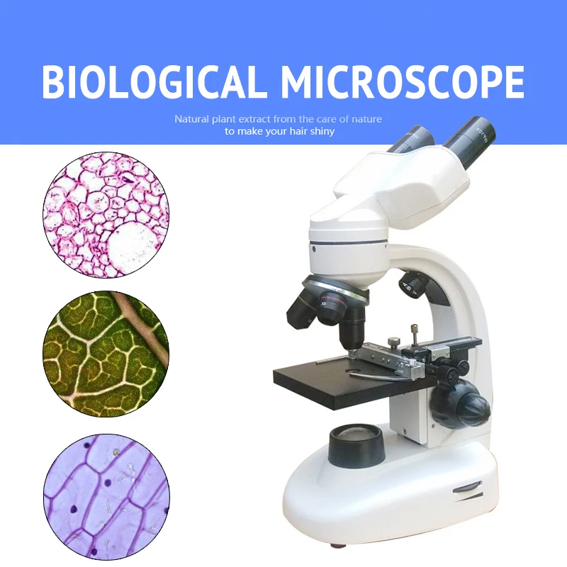 

New Style Professional Binocular Biological Microscope Biomicroscope For Sperm Culture Teaching and Research with Portable Box
