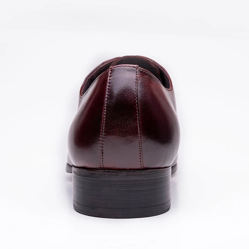 HLX_1504