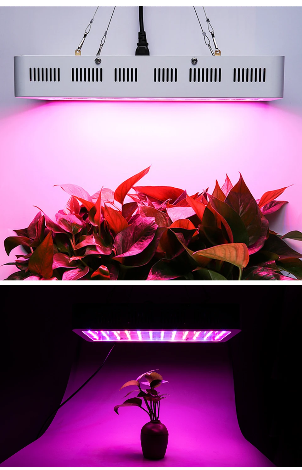 Fitolampy LED Full Spectrum Plant Grow Light 1000W 1200W Double Chip Growing Lamp for Seedlings Flower Hydroponic 85-265V Tent