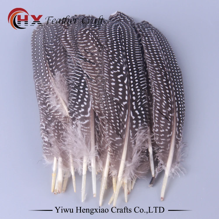 

Pheasant Feathers Natural Feathers 17-22 cm 10Pieces/lot Cheap Spots Long Decorative Feathers Plumes Carnival Feathers