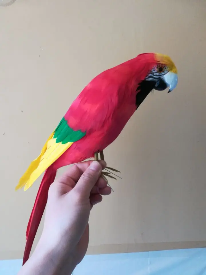 simulation red parrot plastic&feathers parrot bird large 42cm hard model toy,prop,home garden