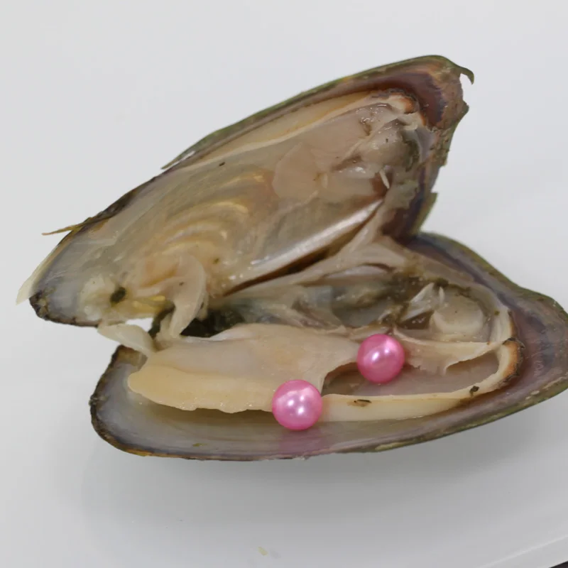 Lovely Pink Akoya Round Twin Pearls In Oysters 20pcs Lot