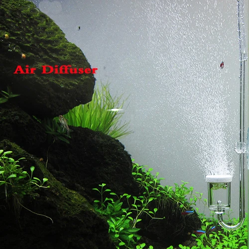 新デザインアクリルエアディフューザー アトマイザー効率的な酸素水族館の水槽 Oxygenator For Aquarium Oxygen For Fishoxygen Diffuser Aliexpress