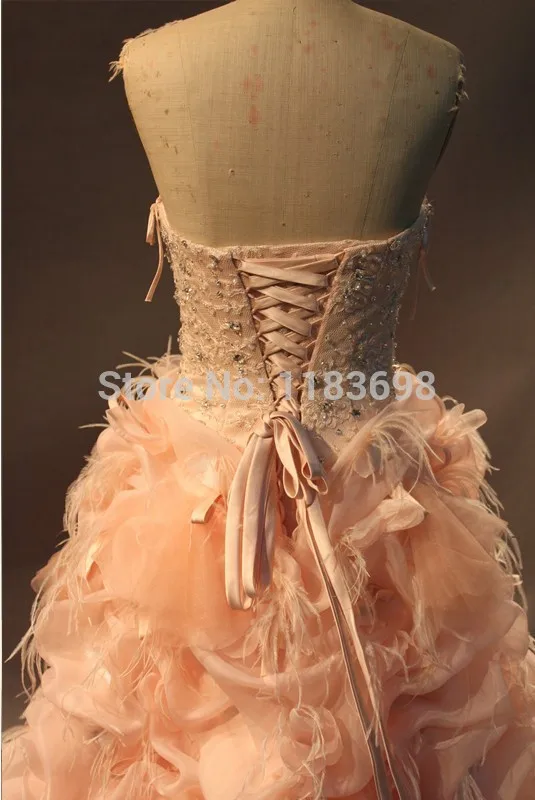 Сексуальный из органзы милый вышитый бисером розовый перо короткий передний Длинный спина свадебные платья настоящая фотография