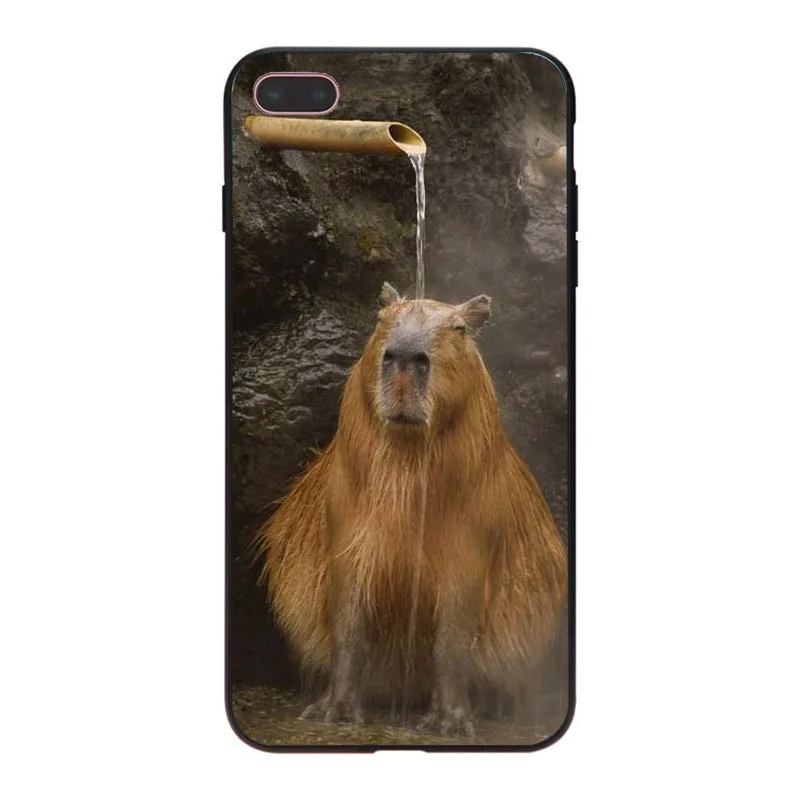 MaiYaCa Animal Funny Capybara Специальное предложение Роскошный чехол для телефона iPhone 8 7 6 6S Plus X XS XR XSMax 5 5S SE Coque Shell - Цвет: 4