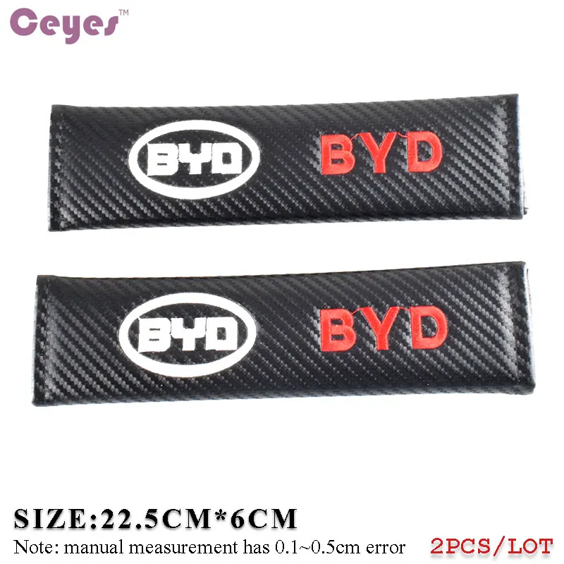 BYD (3)