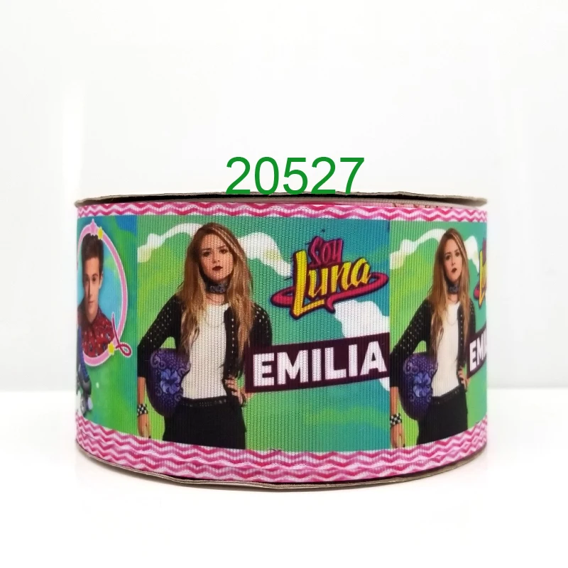 20527
