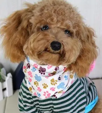 Title 11, 100pcs/lot Dog Puppy Pet bandana cotton band...