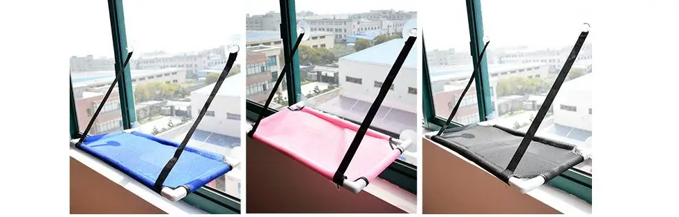 360截图20190529101641388