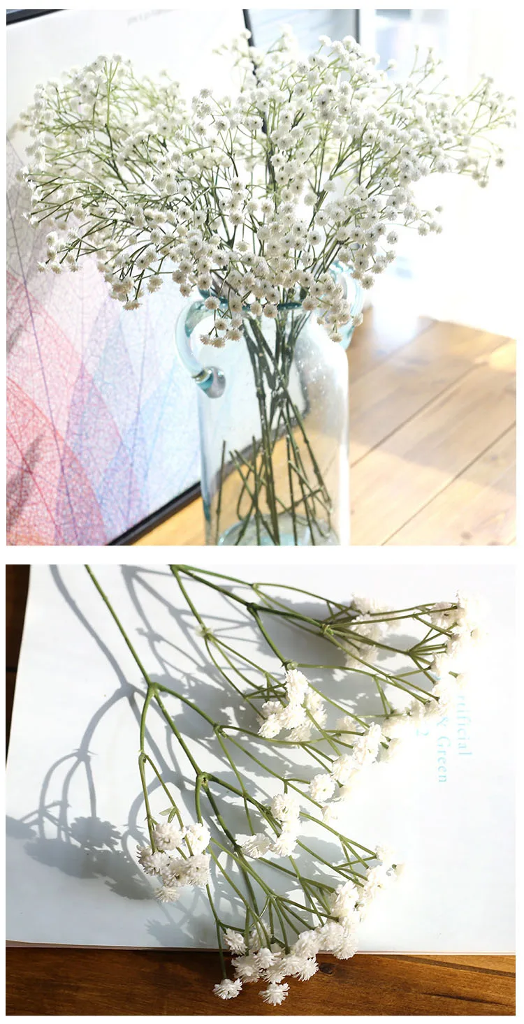 4656480675_1885843273