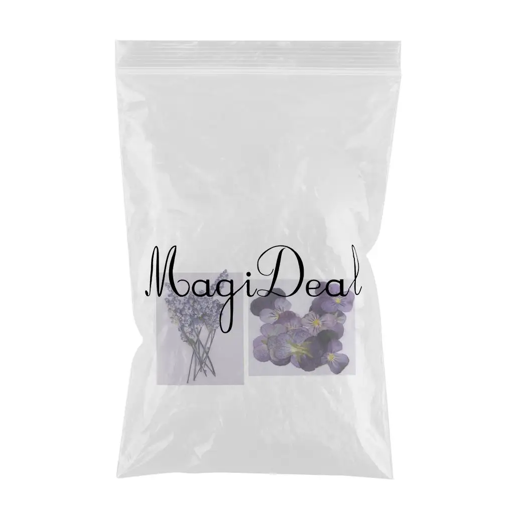 22x Pressed Dried Flowers Real Violet Sage DIY Art Crafts Scrapbooking for Handmade Bookmarks Album Frame Decor