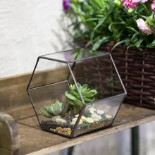Desktop Hexagon Geometric Glass Terrarium Vertical Garden Bonsai Succulents Planter Plants Flower Pot Indoor Outdoor Flowerpot