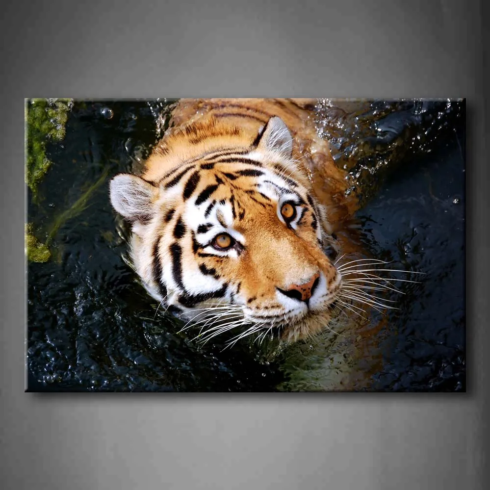Настенная картина в рамке фотографии Тигр в воде плавание принт на холсте домашний декор