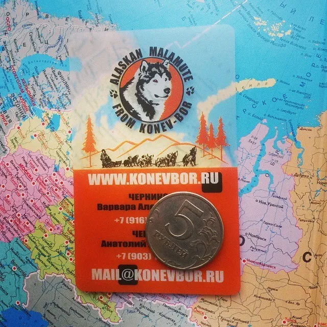 translucent plastic card-CEOCARD