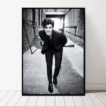 

MUSIC SINGER POSTER Shawn Mendes Poster ART Canvas Art Print Wall Pictures for Living Room No Frame