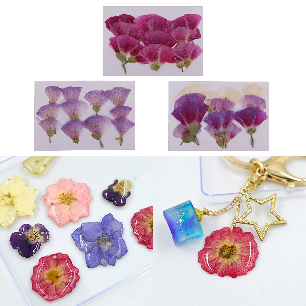 MagiDeal 12x Pressed Real Godetia Flower Dried Flowers DIY Phone Case Scrapbook Craft Artificia Flowers for Wedding Invitations
