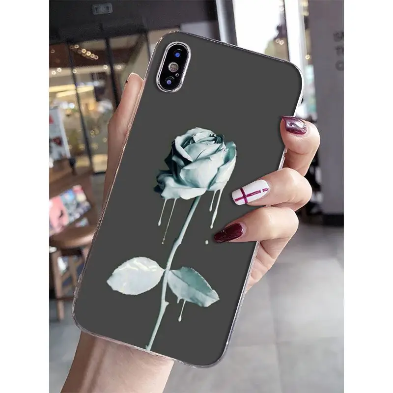 Newest special stylish and beautiful rose