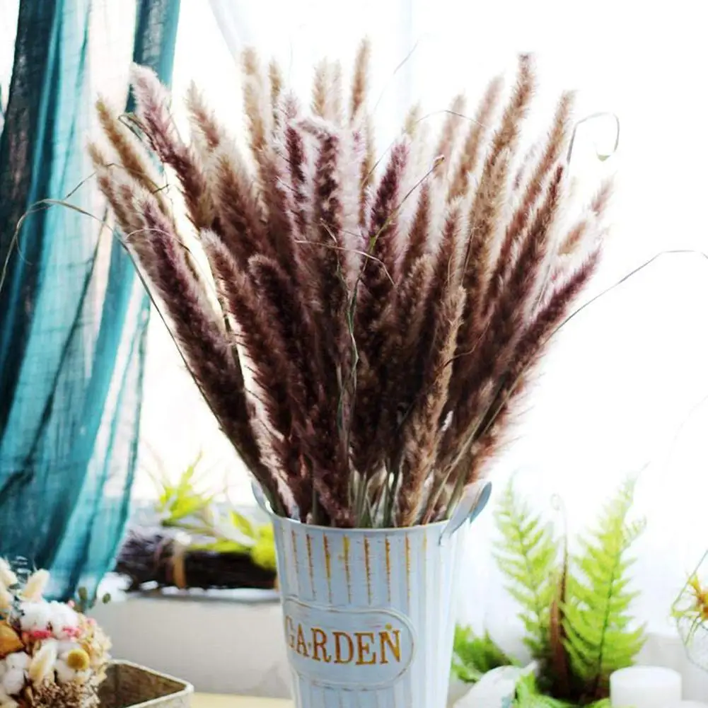 

25Pcs/Set Natural Dried Pampas Grass Fake Reed Plant Artificial Flower Bunch Home Wedding Party Reeds Decor Photography Props