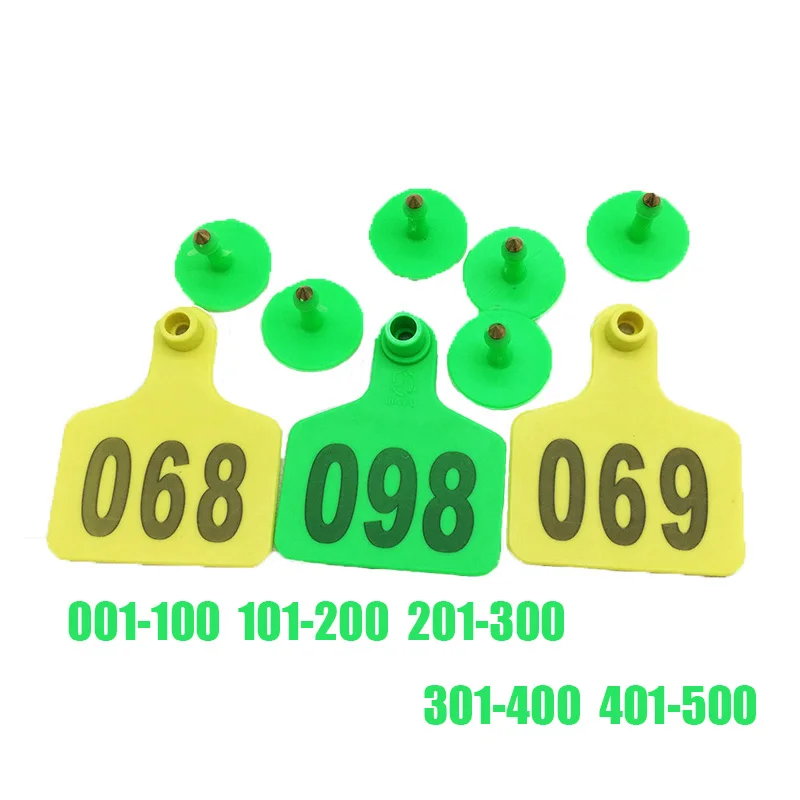 33