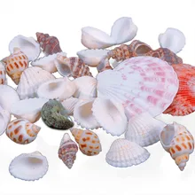 Новые прибл. 100 г пляжные смешанные ракушки микс морские ракушки ремесло ракушки аквариум#67179