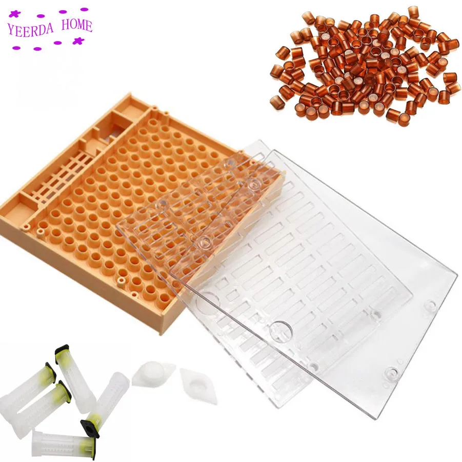 Новый пчеловодная королева Rearing Cupkit коробка 110x коричневый клетка CupsSystem Cupularve