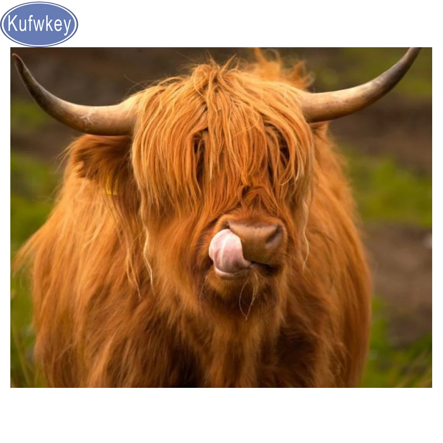 

Full Square/round drill Diamond Painting highland cow painting Rhinestone of Picture mosaic Diamond picture 3d Embroidery art