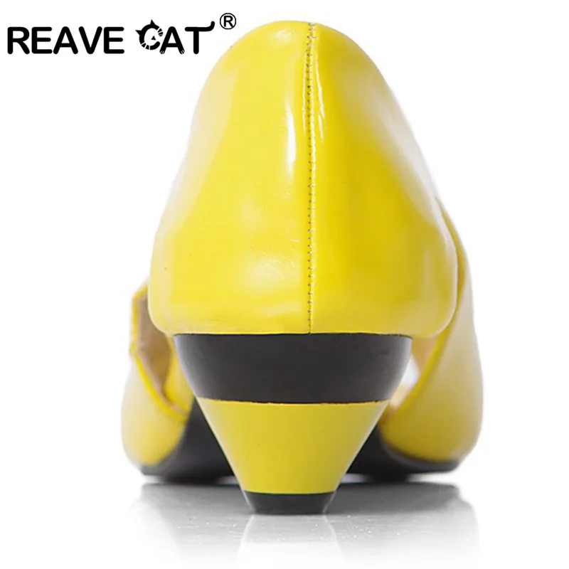 REAVE CAT Plus size 31-43 Small Wedge Peep toe Multi color Summer Women sandals Flower Patent Open toe Cone heels Casual Flats