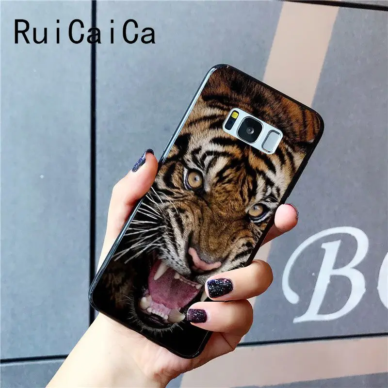 tiger fashion