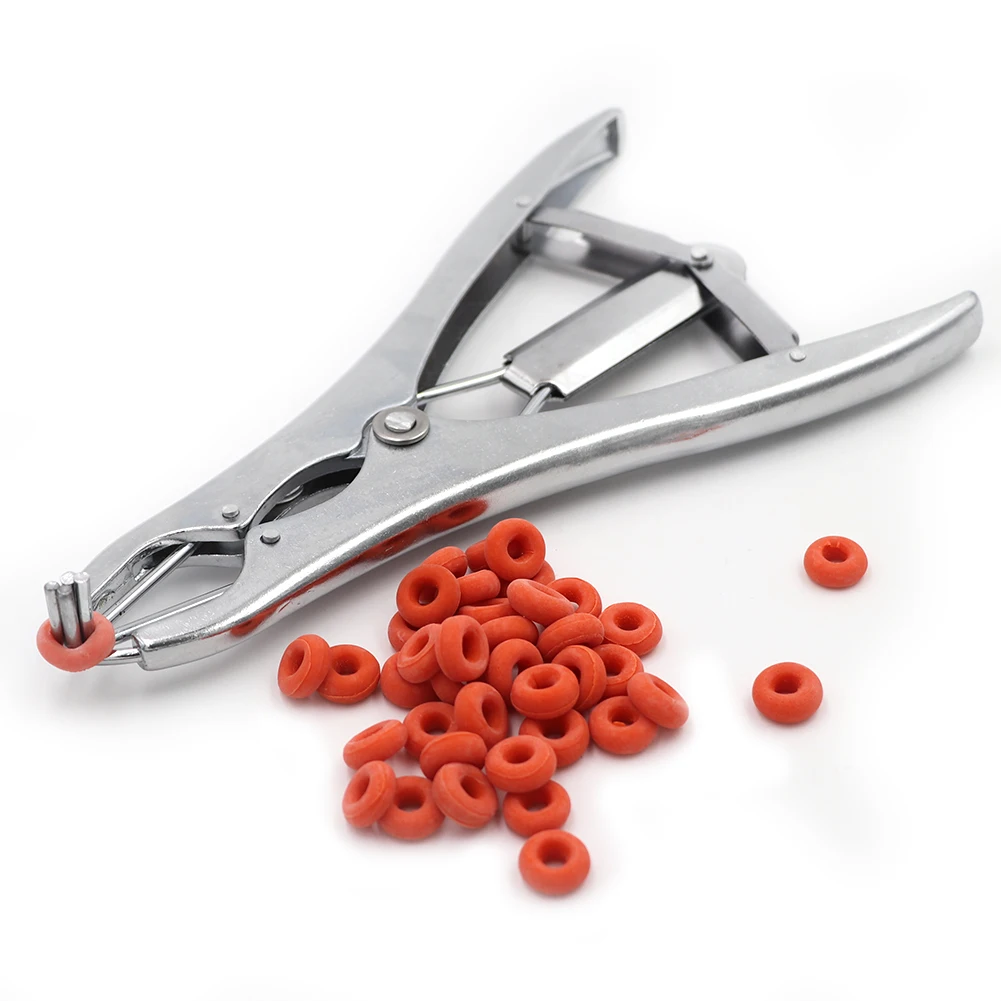 

Veterinary Pigs And Sheep Castration Pliers Rubber Ring Castration Device Veterinaria Equipments Accessories