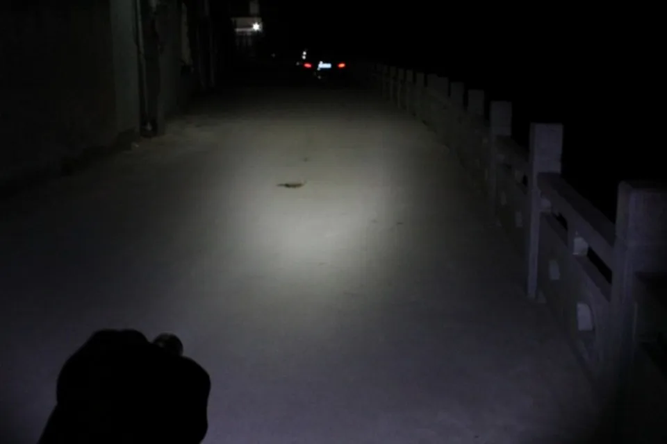 a_conew1