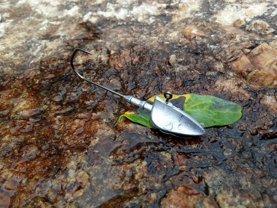 pesca