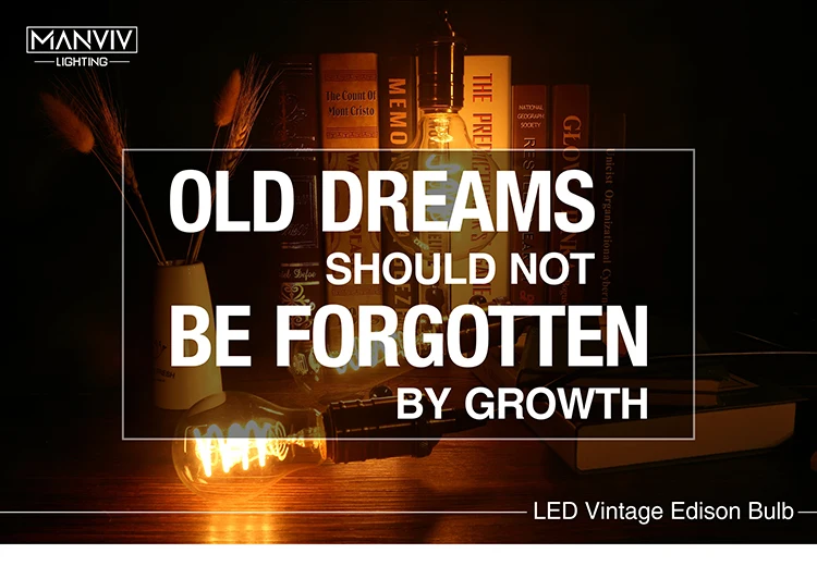 LED Vintage Edison Bulb_01