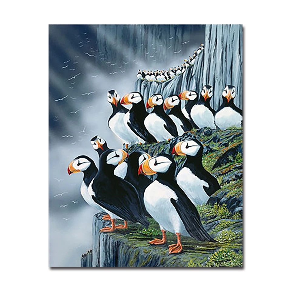 Horned-Puffin-Painting-By-Numbers-DIY-Digital-Sea-Parrot-Oil-Pictures-On-Canvas-Home-Decor-Good (1)