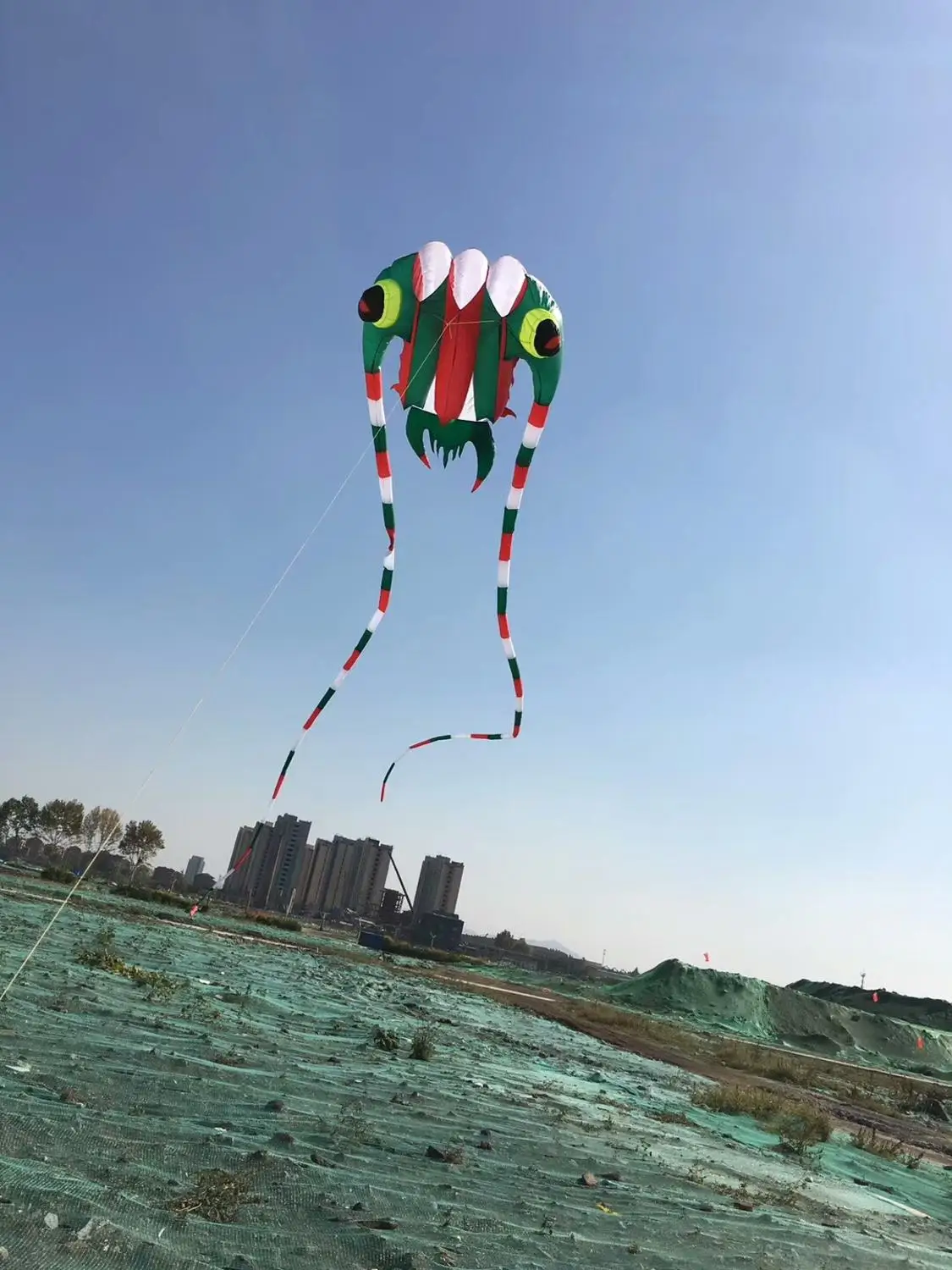 

big kites for adults single line kite ripstop nylon fabric vliegers flying kite weather vane trilobite kite soft pulpo windsock