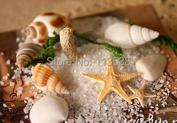

Free ship!!! NEW 50sets/lot Gypsophila STUFFING / filler of glass cover vials DIY glass vial findings