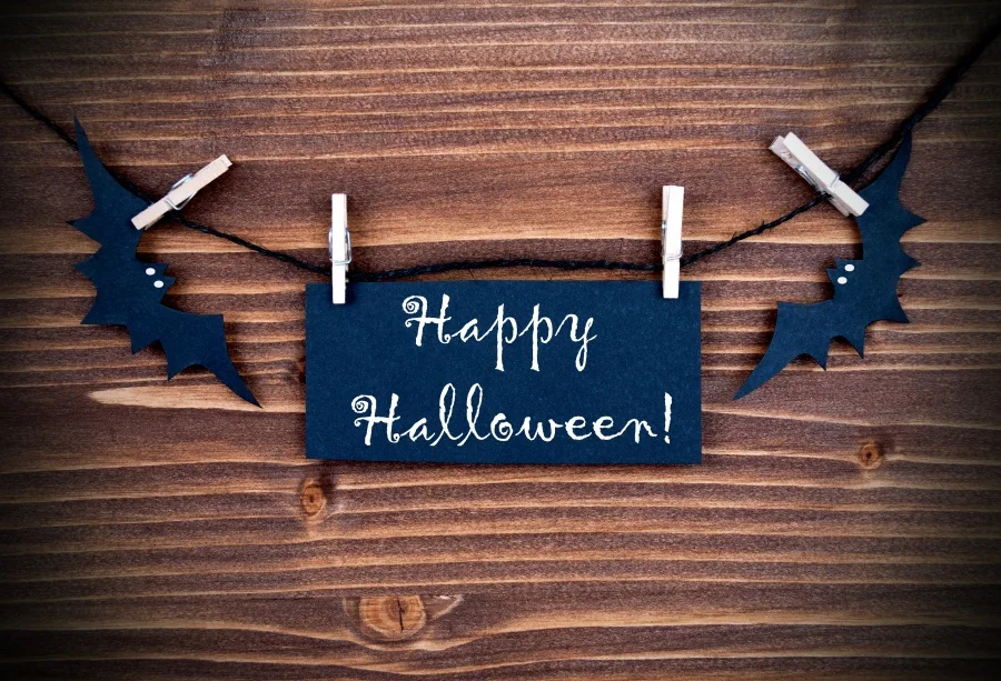 Laeacco деревянный фон Happy Halloween зажим темно доски портрет живописные