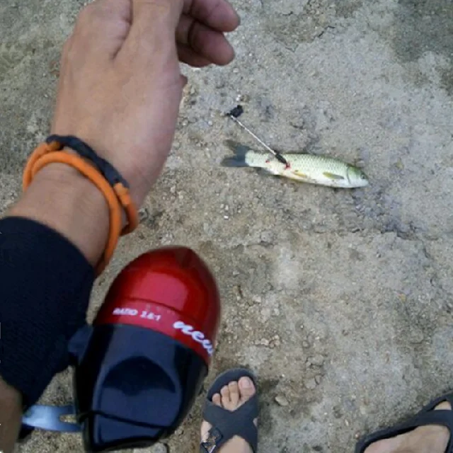 Closed Harpoon Bowfish Shoot Fish Darts Outdoor Shooting Bow With Arrow