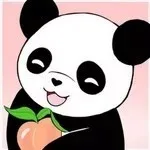 EverShine-Diamond-Embroidery-Cartoon-Picture-Of-Rhinestones-Diamond-Mosaic-Panda-Cross-Stitch-5d-Diamond-Painting-New.jpg_640x640 (6)